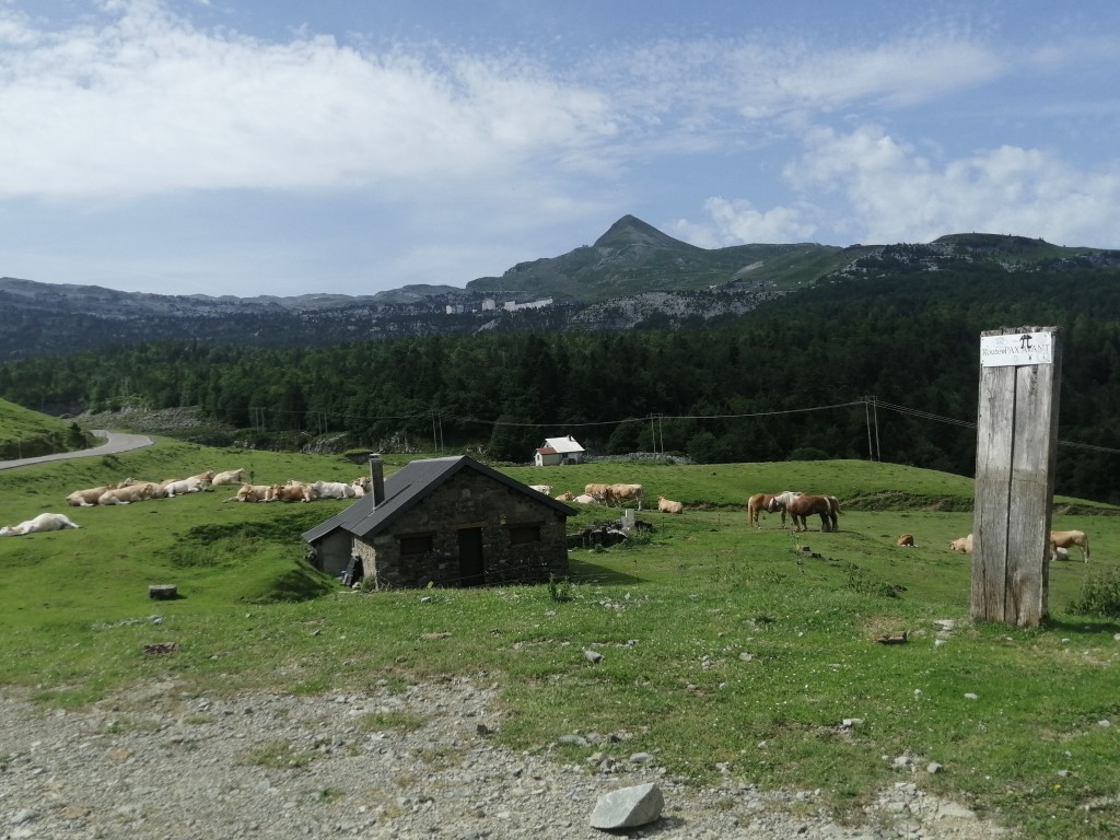 IMG_20260620_110348.jpg